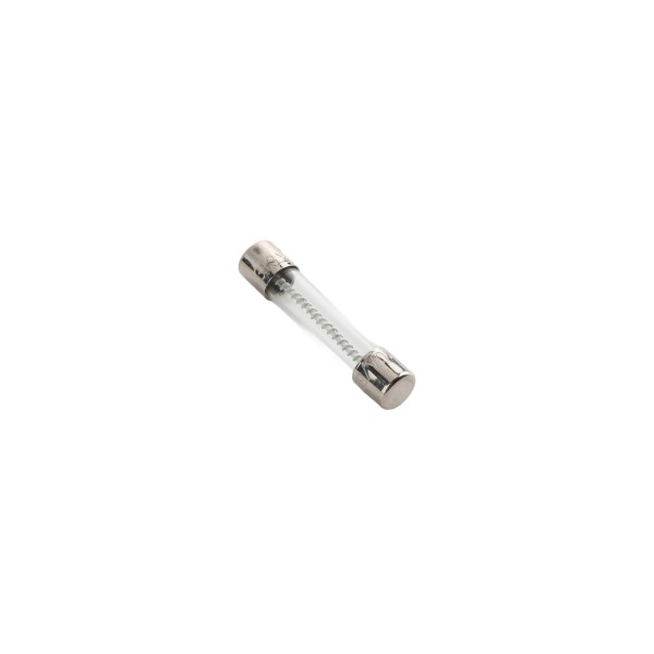 Linear / Osco 2500-1748 Fuse (10 Amp, Slow-Blow)