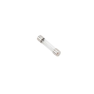 Linear / Osco 2500-1748 Fuse (10 Amp, Slow-Blow)