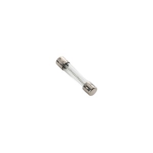 Linear / Osco 2500-1748 Fuse (10 Amp, Slow-Blow)
