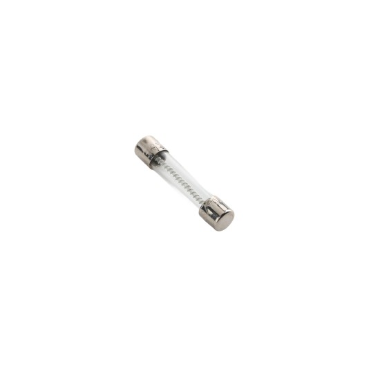 Linear / Osco 2500-1748 Fuse (10 Amp, Slow-Blow)