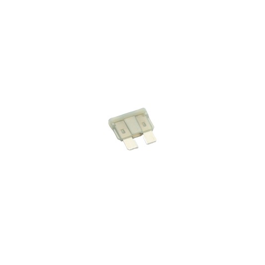 Linear / Osco 2500-1966 2 Amp Fuse for Control Board 