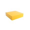 Linear / Osco 2100-2142-YS Removable Enclosure Top (Yellow)