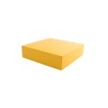 Linear / Osco 2100-2142-YS Removable Enclosure Top (Yellow)