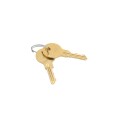 Linear / Osco 2110-643-UPS Lock Assembly with Keys for Linear Osco Gate Opener