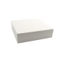Linear / Osco 2100-2142-WS OEM Replacement Removable Enclosure Top for BGU Barrier Opener (White)