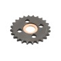 Linear/OSCO Sprocket (40-A-24, with Bearing) - 2110-364