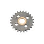 Linear / Osco 2220-022 Sprocket (41-A-24 with Bearing)