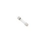 Linear / Osco 2500-1748 Fuse (10 Amp, Slow-Blow)