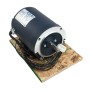 Linear / Osco 2500-2315-UPS Motor (1 HP, 208/230/460V, 3 Phase)