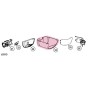 Linear LDCO Garage Door Opener Main Cover With Insulation & Labels - HAE00052